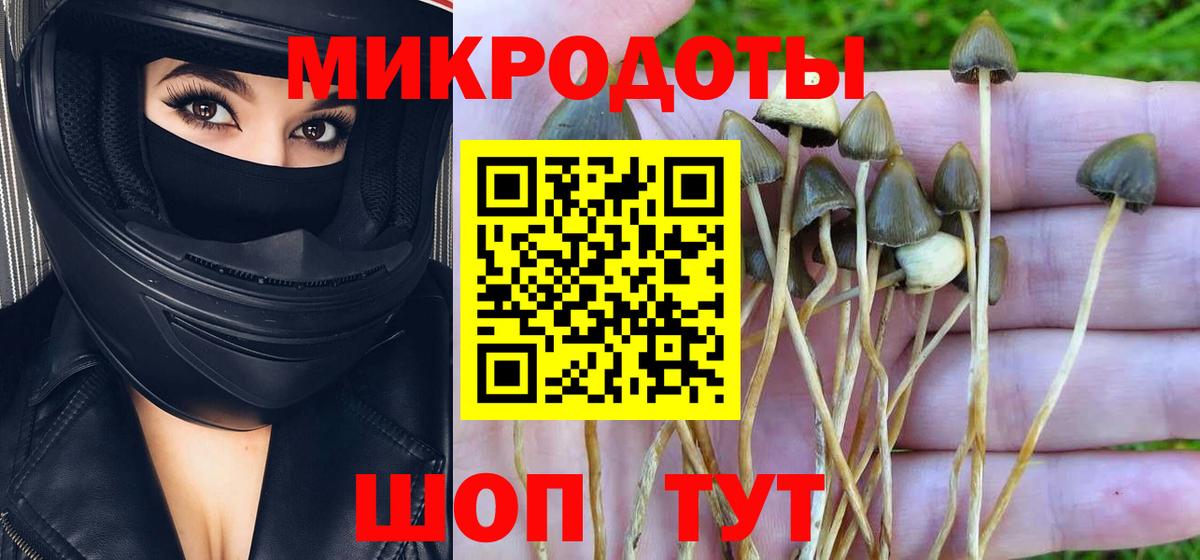 Псилоцибиновые грибы мицелий Октябрьский