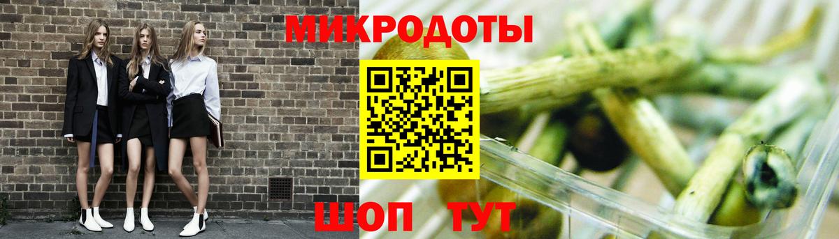 Галлюциногенные грибы Psilocybe  Вход с VPN  Псилоцибиновые грибы Magic Shrooms  купить наркотики цена  Октябрьский 